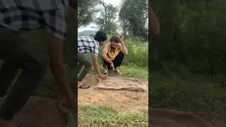 Arpit lucha  का धंधा #comedy #teamarpit #iamarpit #funny #arpitofficial #arpit #shortsvideo #shorts