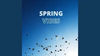 Spring Groove