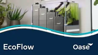 Oase EcoFlow Aquarium Filter Range