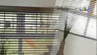 Bedfordshire Wooden Venesion Blinds at www.leadinginteriors.com miltonkeynes st.Albans