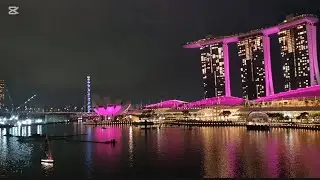 Singapore Holiday 2025.3 #rain #lantern #spectra #merlion #singaporebotanicgardens #orchids
