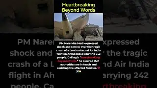 PM Modi Reacts to Tragic Incident with 242 Onboard #shortsfeed #shorts #skillstoryz