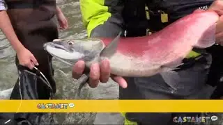 Лоу Оканаган Соккай бегает не только &laquo;ужасно и мрачно&raquo;
