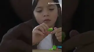 Who Actually Qualifies as Gifted (It&rsquo;s More Than Grades)