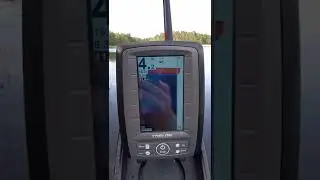 Toslon TF500# fishing 🎣#short