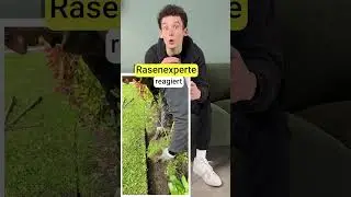 So machst du deine Rasenkanten sch&ouml;n #rasen #rasenpflege #rasentipps #garten #shortvideo #shorts