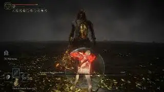 Elden Ring - Radagon of the Golden Order / Elden Beast - Ripple Blade Boredom