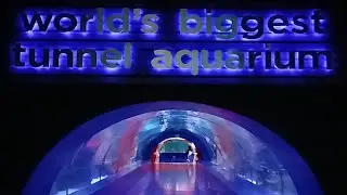آکواریوم آنتالیا در۶ دقیقه| تجربه‌ای واقعی ازدنیای زیر آب Antalya Aquarium | An exciting experience