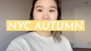 living alone in nyc: daiso haul, slander,  purple rice yogurt review