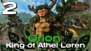 THE SECRET WAR RAGES ON!! | Orion Immortal Empires Modded Wood Elves Story Campaign | Part 2