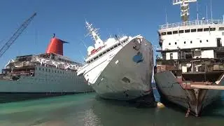 Excerpt Number 13 from PACIFIC PRINCESS Decked!, Part Two:  Fleetmates That Die Together
