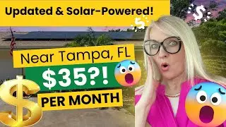 Updated 55+ Florida Near Tampa with Solar | Energy-Efficient & Low-Maintenance 1349 New Bedford Dr