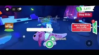 Make a neon ride water opossum with us#adopt me