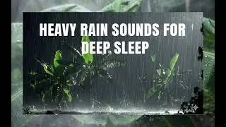 Rain on Banana Leaves for Sleeping | Deep Sleep ASMR 1 Hour.