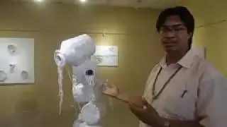 #Solo art exhibition #AAMA 2017 #Jyoti Prakash BK #artlinetv #artlinetvnepal