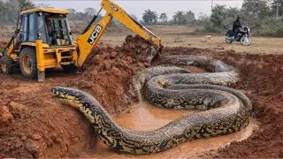 JCB 3dx Xpert | Machine Loading Mud Tractor's | Mahindra Tractor And New Holland Tractor Trolley 