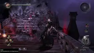 Nioh Bridge Glitch