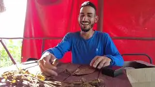 cuban cowboy explains how tobacco is harvested, processed and rolled for those lovely cigars