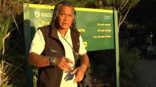 Waipoua Forest, Neuseeland: Mystischer Moonlight Walk zum Father of the Forest!