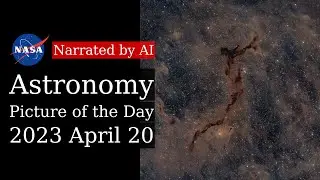 APOD: 2023-04-20 - The Dark Seahorse in Cepheus (Narrated by Joanna)