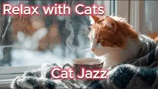 Daily Cat Jazz | Relaxing Comfy Jazz Vibes for Studying, Chilling & Snowy Nights