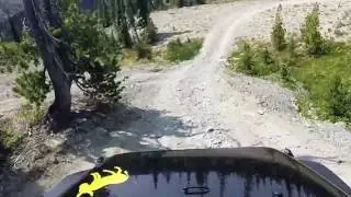 Fortune creek, Hawkins Mtn