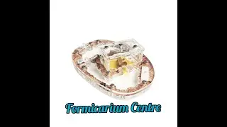 Formikarium Centre Instrukcja montażu / Assembly instruction | AntOnTop