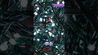 🎄Untangle Christmas Lights or Fill Easter Eggs?