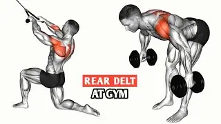 Rear Delt Workout: 5 Must-Do Exercises for Massive Rear Delts