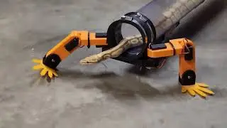 cyber snakes
