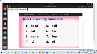 Linux All File reading commands.
