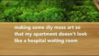 making some diy moss art so that my apartment doesn't look like a hospital waiting room