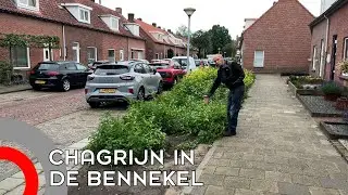 Goed groen? Of fout groen? In De Bennekel snappen ze er niks meer van