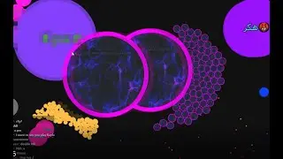 Senpa.io MegasplitX 128 Reverse With Auto