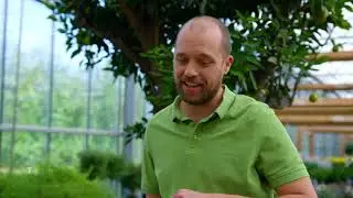 ORF Pflanzerei 