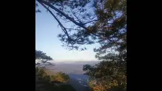 middmoon - the smell of sunshine