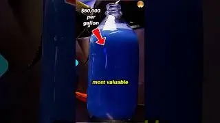 Meet the World&rsquo;s Most Valuable Blood! 🦀🩸🤯