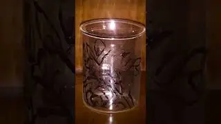 ~HANDMADE GLASS PAINTING~ BIRD & FLOWER 🌺 ~ &ldquo;Le Pivert&rdquo;