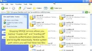 How to Recover SQL Passwords Successfully!