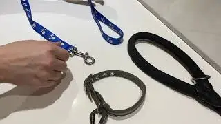 Prevent dog theft with secure leads