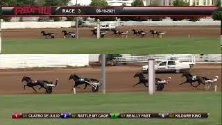Red Mile Racetrack 09/19/2021 Race 3