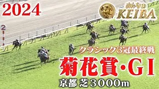 【菊花賞・GⅠ】菊花賞 京都 芝 3000m 2024 レース  【みんなのKEIBA】