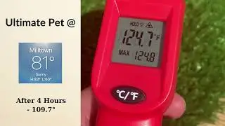Pet Turf Temperature Testing in Direct Sun - Too Hot for Dogs???