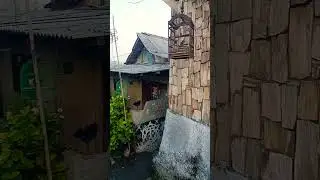 Japan Indonesia!!! Here in Bogor City!!!