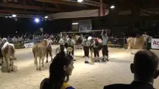 Die LFS Otterbach beim Kreativwettbewerb der landwirtschaftlichen Fachschulen