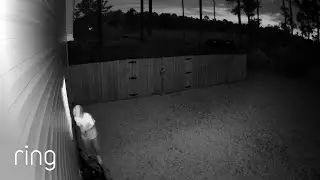 Man Peeking Through Window Scared Off By Ring Cam Siren⼁RingTV