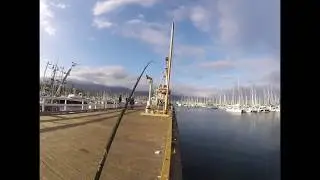 Fishing in Santa Barbara Harbor