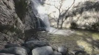 Reprieve from Drought  by Ravi's Music Collective 230129