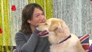 金毛尋回犬怕細狗怕到跳上梳發 煉狗術師 Eric Ko 教主人吳國敬提升狗仔安全感 (寵物狗救星 - 超級馴犬師 - EP06-1)