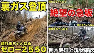『裏ガス登頂』と、聞けば見る動画　倒木処理と現状確認とSERROW250とTW200とSERROW225とWR250Fで冬の林道ツーリング　よろしくお願いします。2026 01 01